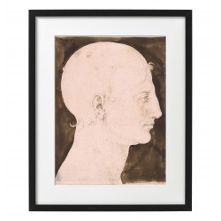 Albrecht Durer - Głowa człowieka z profilu