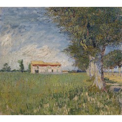 Vincent Van Gogh - Farma na polu pszenicy