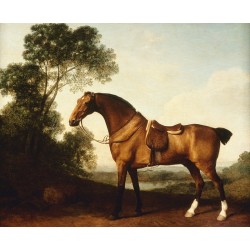 George Stubbs - A Saddled Bay Huter
